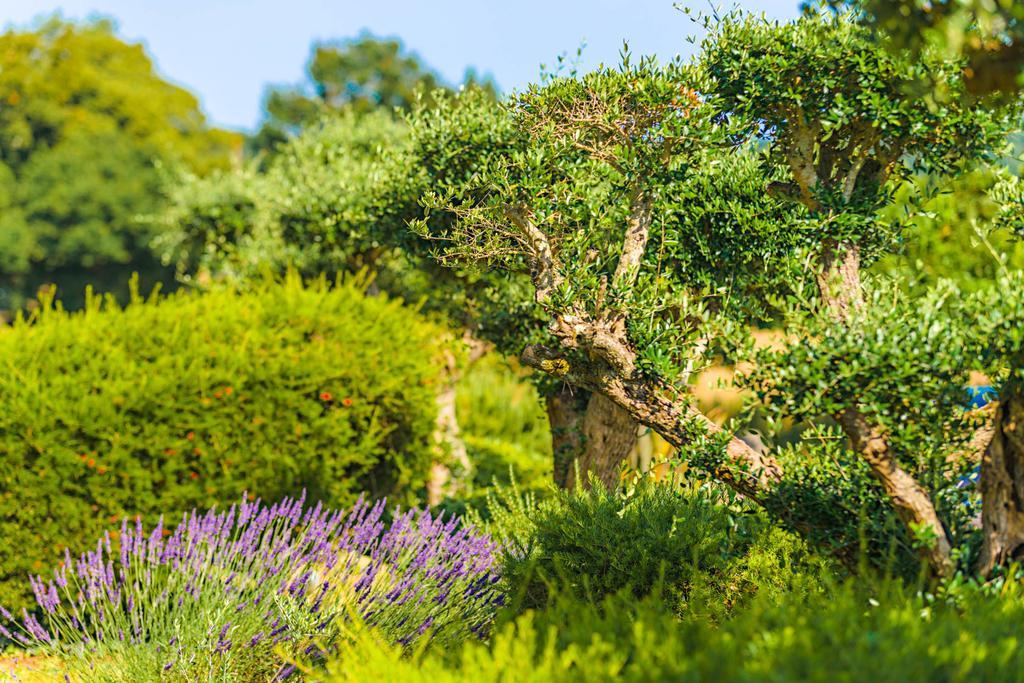Hotel Minvielle - Residence Les Oliviers Ségos Dış mekan fotoğraf
